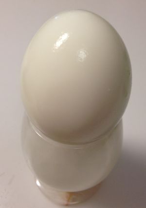 作り方・無水鍋でゆで卵-レシピのメイン写真