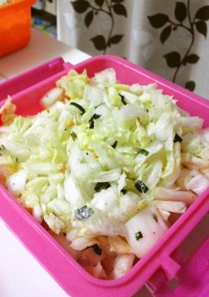*白菜のお茶漬けのもと和え*-レシピのメイン写真