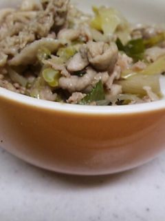ネギ塩豚丼-レシピのメイン写真