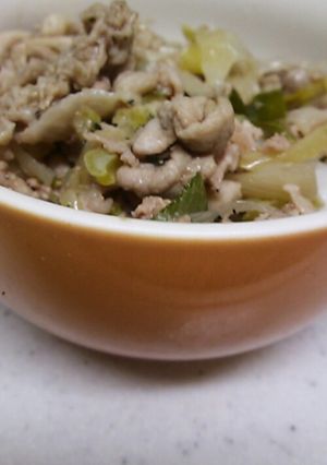 ネギ塩豚丼-レシピのメイン写真