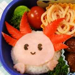 รูปของ キャラ弁★ウーパールーパー弁当☆