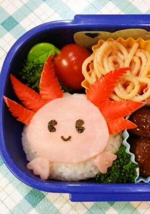 キャラ弁★ウーパールーパー弁当☆-レシピのメイン写真