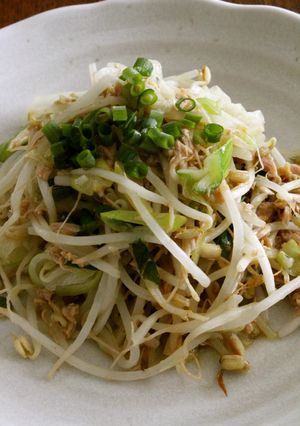 シャキシャキ！もやし長ねぎの蒸し煮炒め-レシピのメイン写真