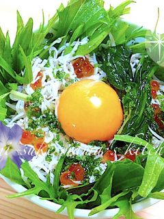 ஐ水菜と大根☆釜揚げしらすのサラダ丼ஐஃ-レシピのメイン写真