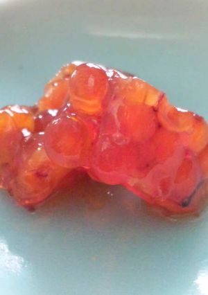生筋子の味噌漬け-レシピのメイン写真