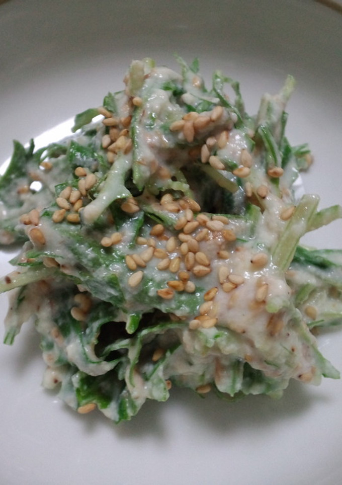サラダ水菜のちゃちゃっと和え物-レシピのメイン写真