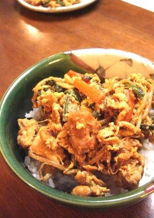 適当でも激ウマ♪まかないビビンバ丼☆-レシピのメイン写真
