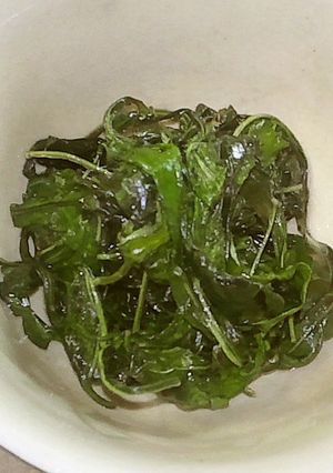 葉唐辛子炒め-レシピのメイン写真