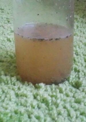 はちみつおかかの甘酢ドレッシング-レシピのメイン写真