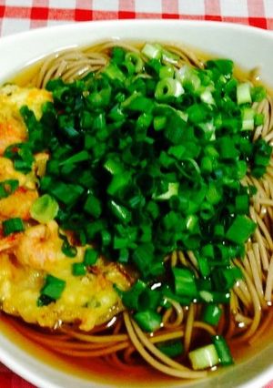 【十勝一年生】ネギだく蕎麦-レシピのメイン写真