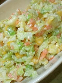 コールスローサラダ-レシピのメイン写真