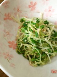 かいわれ大根のおひたし-レシピのメイン写真