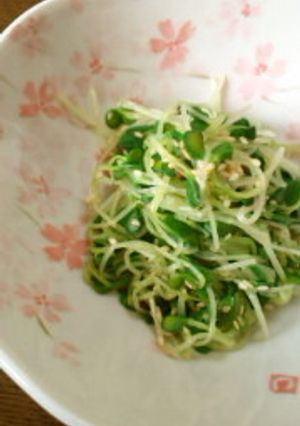 かいわれ大根のおひたし-レシピのメイン写真