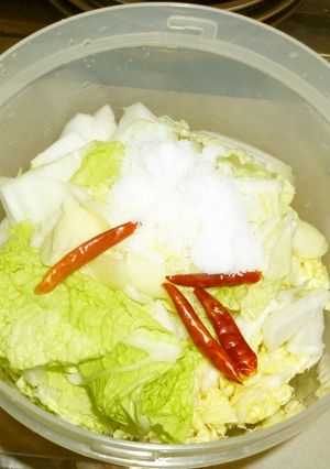 パパの白菜の塩漬け-レシピのメイン写真