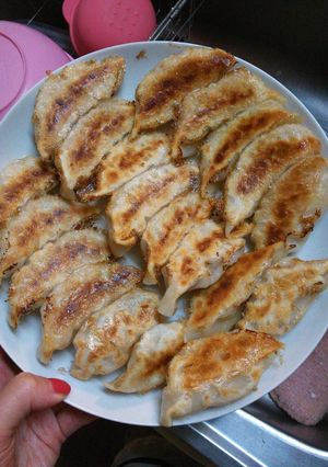 ネギと白菜の餃子-レシピのメイン写真