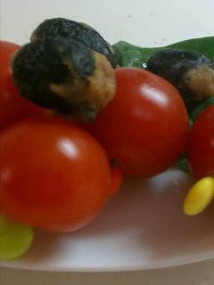 オリーブのコロコロフライ-レシピのメイン写真