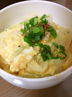 風邪に負けるな!!生姜風味の白菜煮込-レシピのメイン写真