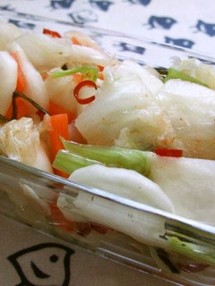 旬の野菜♪ササッと浅漬け-レシピのメイン写真