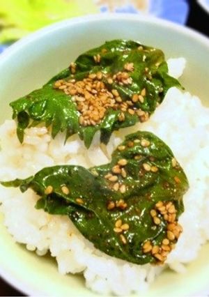 青じその唐辛子醤油漬け-レシピのメイン写真