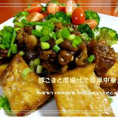 รูปของ 豚こま切れ肉と厚揚げで簡単中華♪