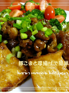 豚こま切れ肉と厚揚げで簡単中華♪-レシピのメイン写真