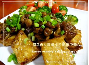 豚こま切れ肉と厚揚げで簡単中華♪-レシピのメイン写真