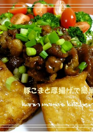 豚こま切れ肉と厚揚げで簡単中華♪-レシピのメイン写真
