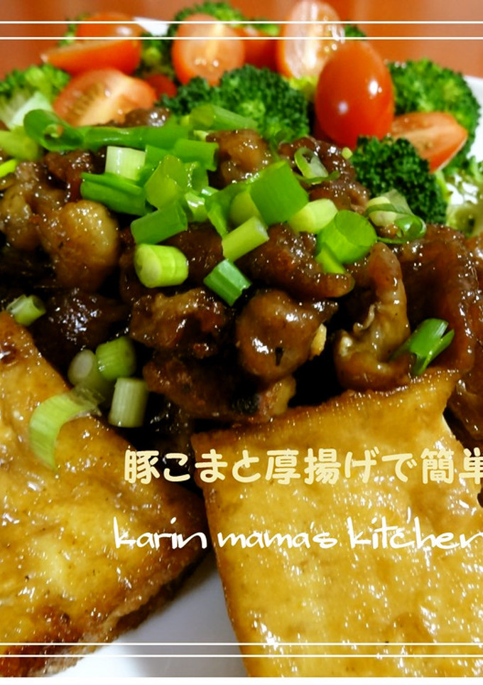 豚こま切れ肉と厚揚げで簡単中華♪-レシピのメイン写真
