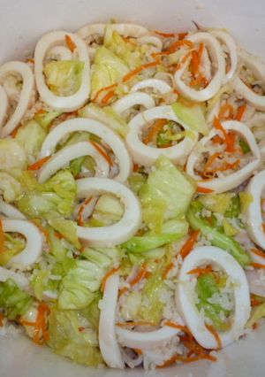 イカの飯寿司-レシピのメイン写真