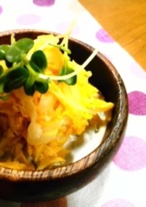 うどんスープdeコクうま白菜サラダ♪-レシピのメイン写真