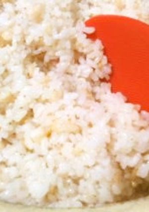 手抜き過ぎ？梅と天かすの炊き込みご飯-レシピのメイン写真
