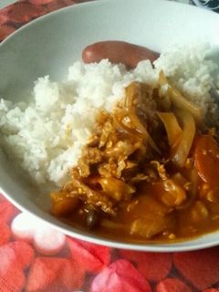 トマト鍋をリメイク♪トマトカレー!!-レシピのメイン写真