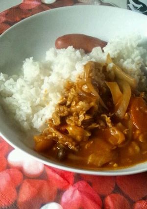 トマト鍋をリメイク♪トマトカレー!!-レシピのメイン写真