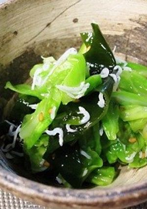 キャベツと若芽の酢の物-レシピのメイン写真