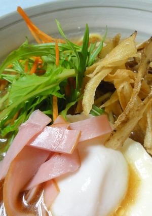 揚げゴボウで旨味中華そば♪-レシピのメイン写真