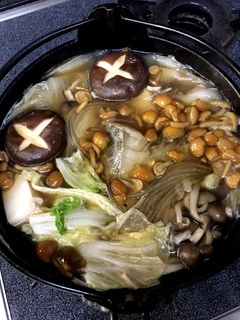 寄せ鍋♪(一人鍋)-レシピのメイン写真