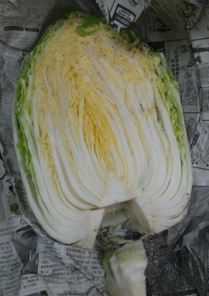 白菜の長持ち保存法-レシピのメイン写真