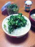 なっぱの　よごし