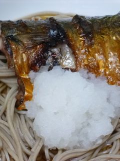 焼き鯖おろし蕎麦-レシピのメイン写真