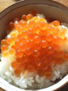 いくらの醤油漬け-レシピのメイン写真