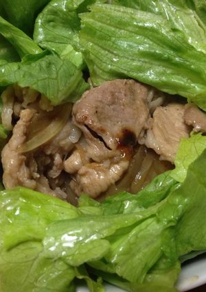 簡単!!とんとん豚丼-レシピのメイン写真