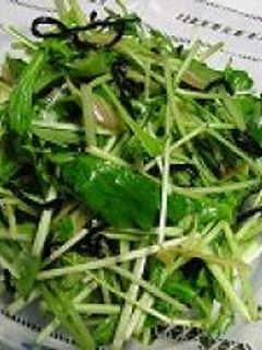 水菜と塩昆布のサラダ-レシピのメイン写真