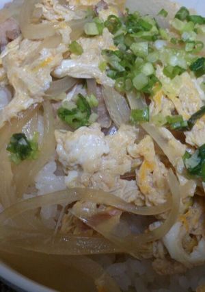 ふわふわ親子丼-レシピのメイン写真