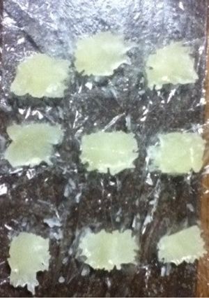 レモン汁の保存-レシピのメイン写真
