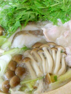 塩麹と創味シャンタンDXだけで作る寄せ鍋-レシピのメイン写真