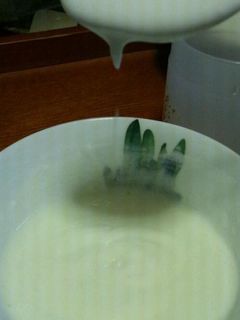 生クリームヨーグルト-レシピのメイン写真