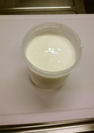 今話題の【塩ヨーグルトの基本】-レシピのメイン写真