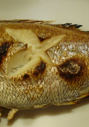 天然鯛の塩焼き-レシピのメイン写真