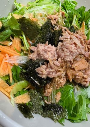 レタスと水菜の大満足サラダ😁-レシピのメイン写真