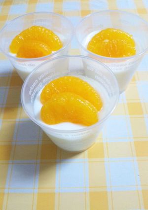 ぷるっととろ～り♪ヨーグルトパンナコッタ-レシピのメイン写真